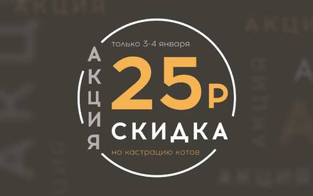 Акция! Скидка 25 рублей на кастрацию котов! 3-4 января - дни кастрации в ВэллВет!