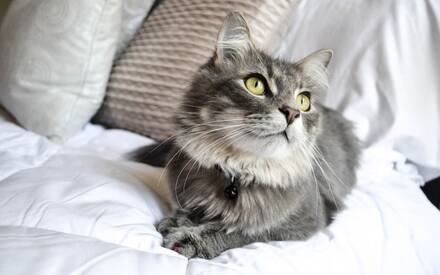 Мочекаменная болезнь: причины возникновения, варианты лечения.